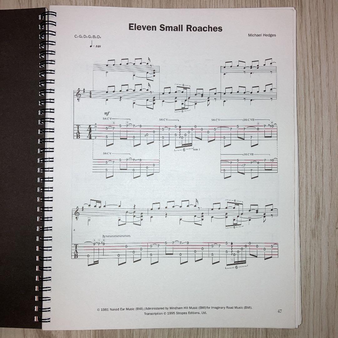 激レア　マイケル・ヘッジス Michael Hedges TAB譜（CD付）