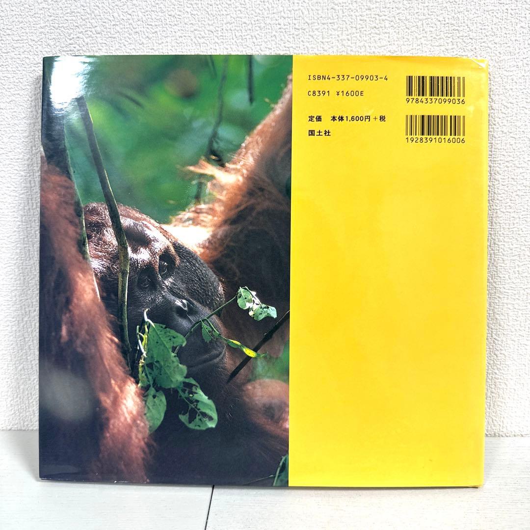 【2点購入150円引】オランウータンの森　鈴木 南水子 / 鈴木晃