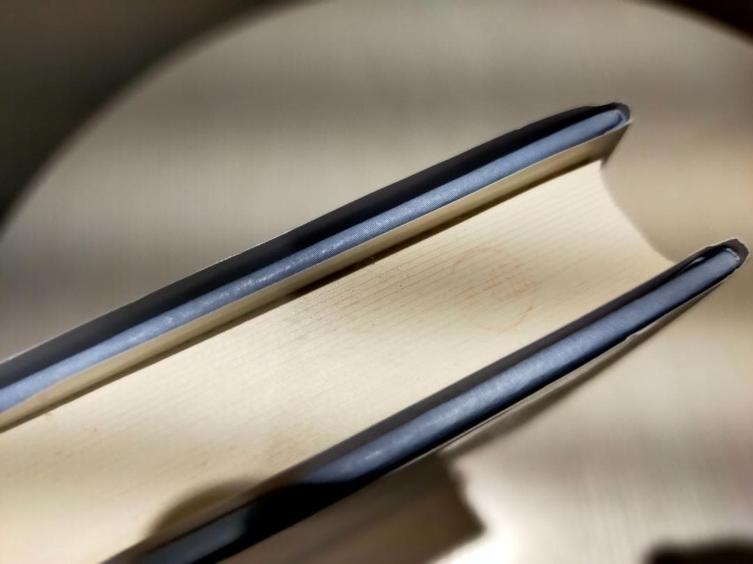 希少　身体適応 歩行運動の神経機構とシステムモデル　(シリーズ移動知) 第2巻