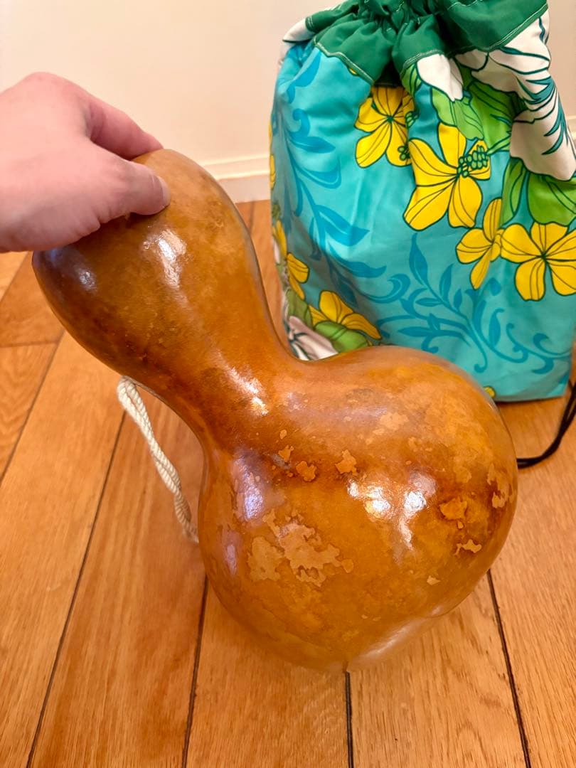 イプ フラダンス ハワイ直輸入 ケース付き