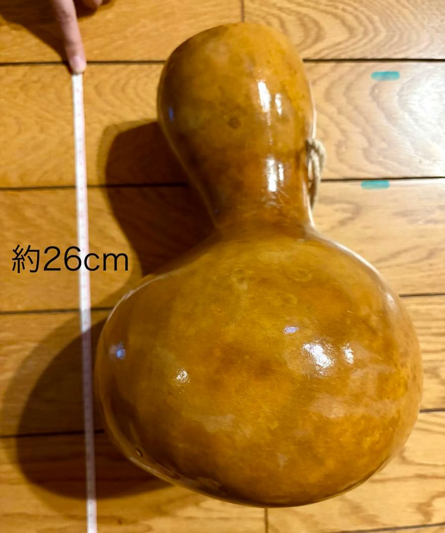 イプ フラダンス ハワイ直輸入 ケース付き