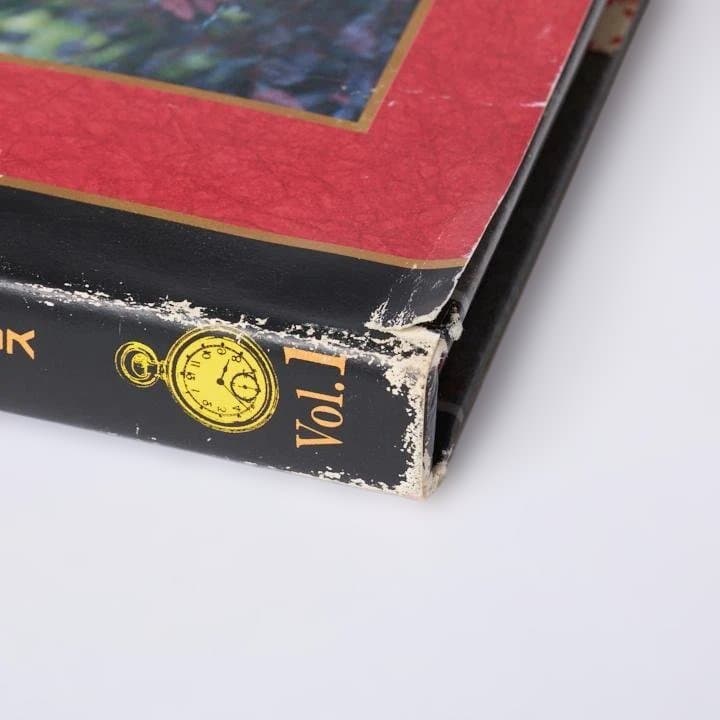 【即日発送】 不思議の国の美少女達アリス 永井流奈