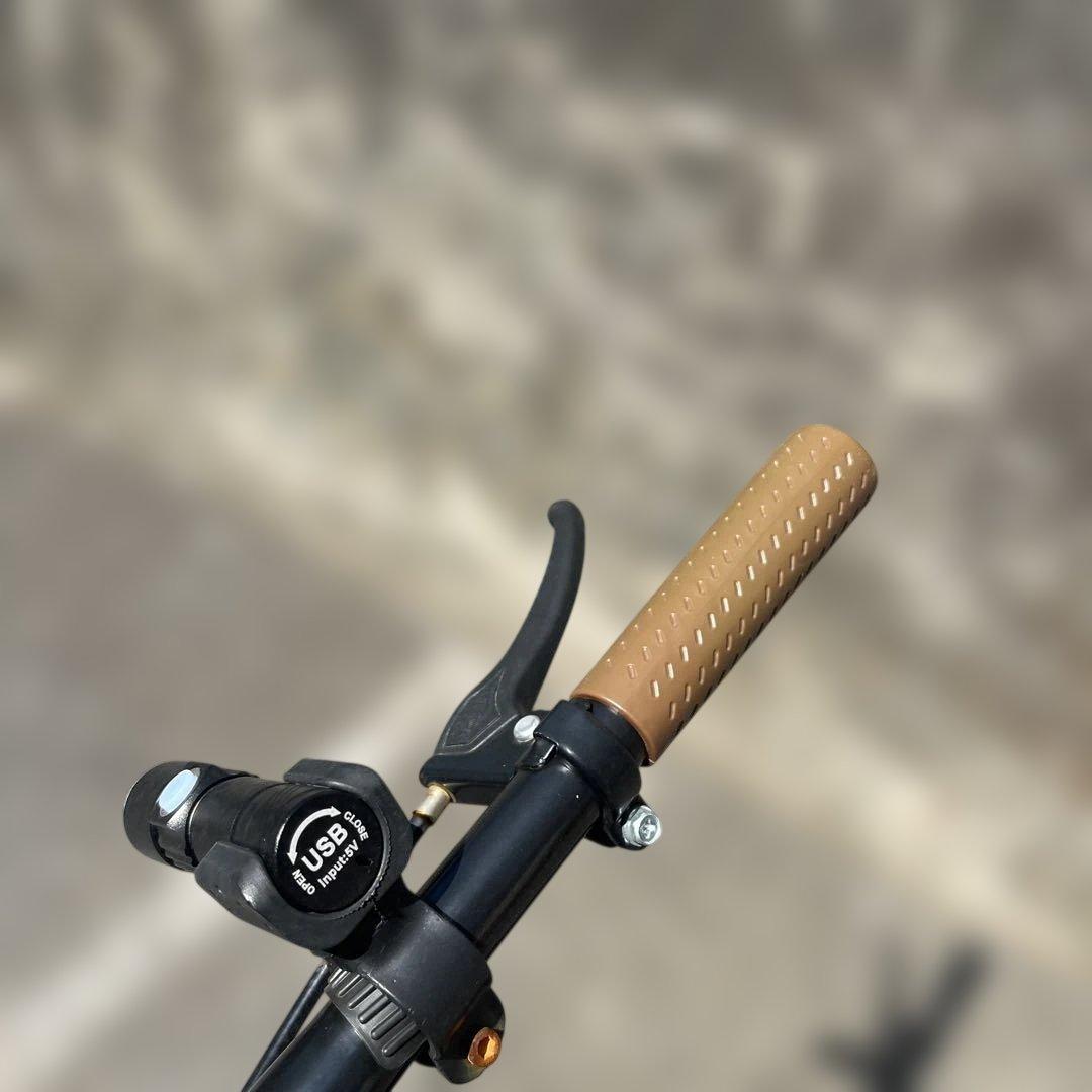 （現地引渡し東京)AIJYUCYCLE 折りたたみ自転車 16インチ ミニベロ