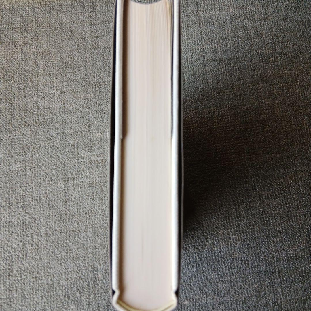 ハイデッガー全集　２５巻　カントの純粋理性の現象学的解釈