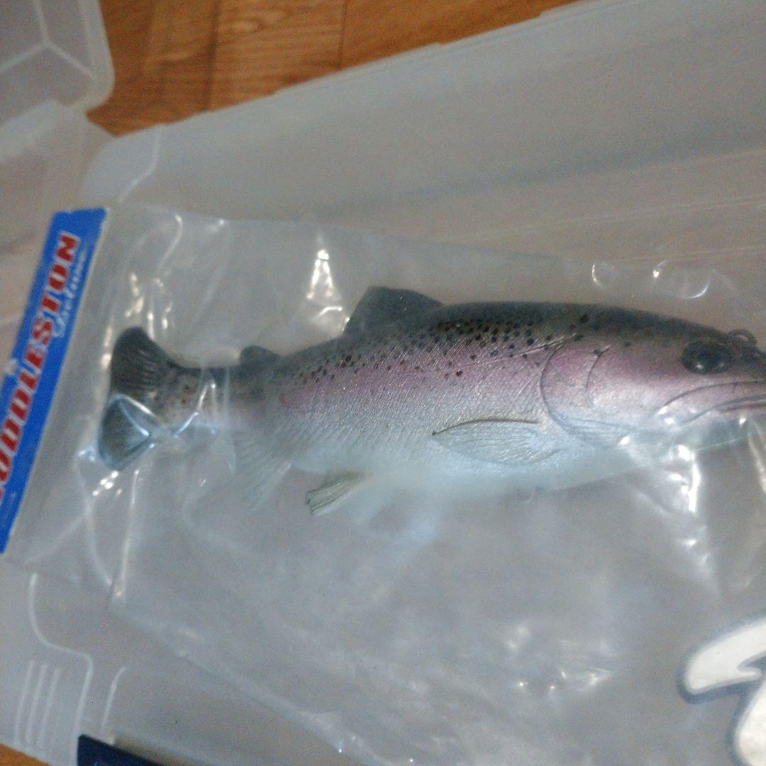 ハドルストン レインボーカラー8インチ ROF5