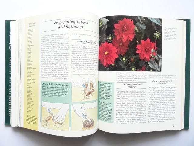 洋書◆ガーデニング写真集 本 植物 花 庭