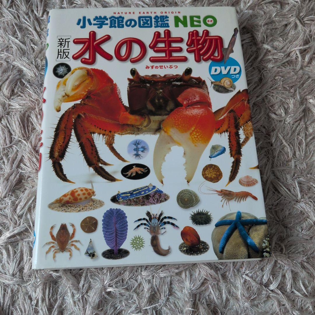 小学館の図鑑5冊まとめ売り(科学、植物、水の生物、昆虫、深海生物)