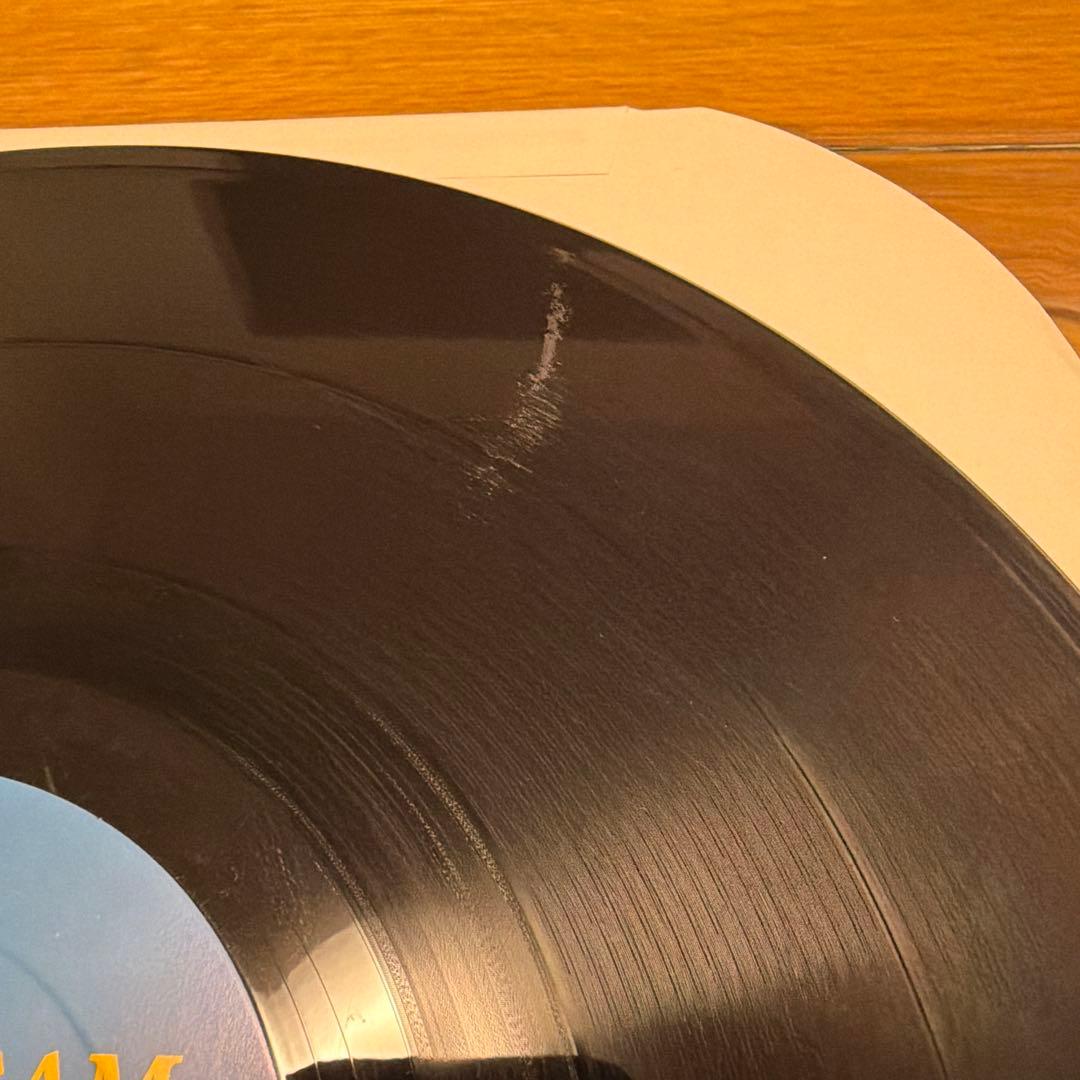 【3枚】SOUL SCREAM 蜂と蝶/ひと夜バカンス/Tou-kyo　レコード