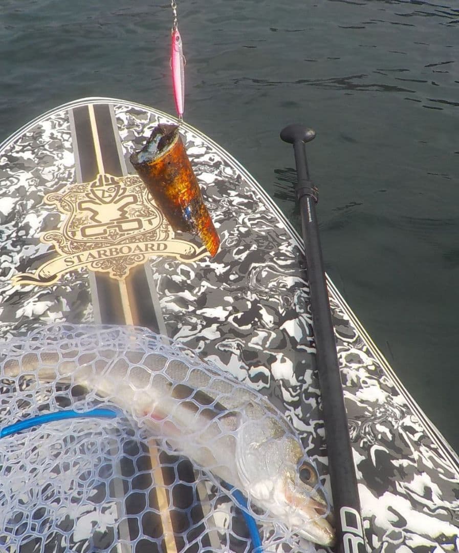 STARBOARD SUP スタンドアップパドルボード　EPS　パドル　FCS