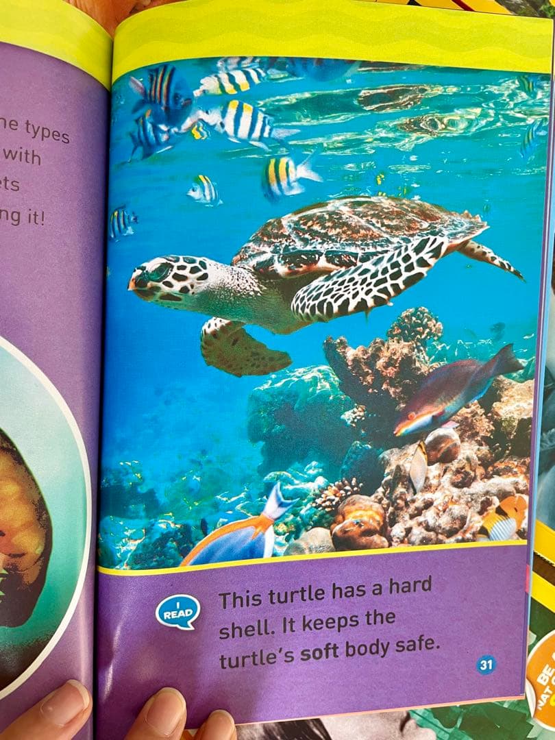 新品National Geographic Kids L1/46冊英語絵本　洋書