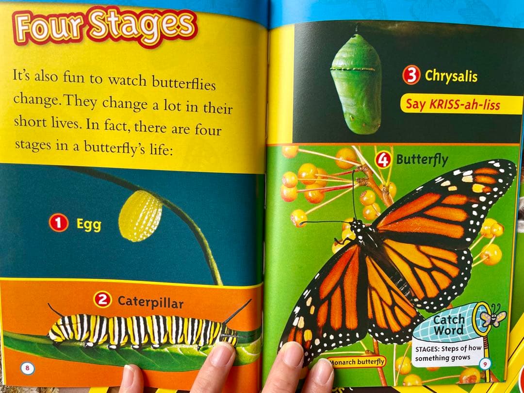 新品National Geographic Kids L1/46冊英語絵本　洋書