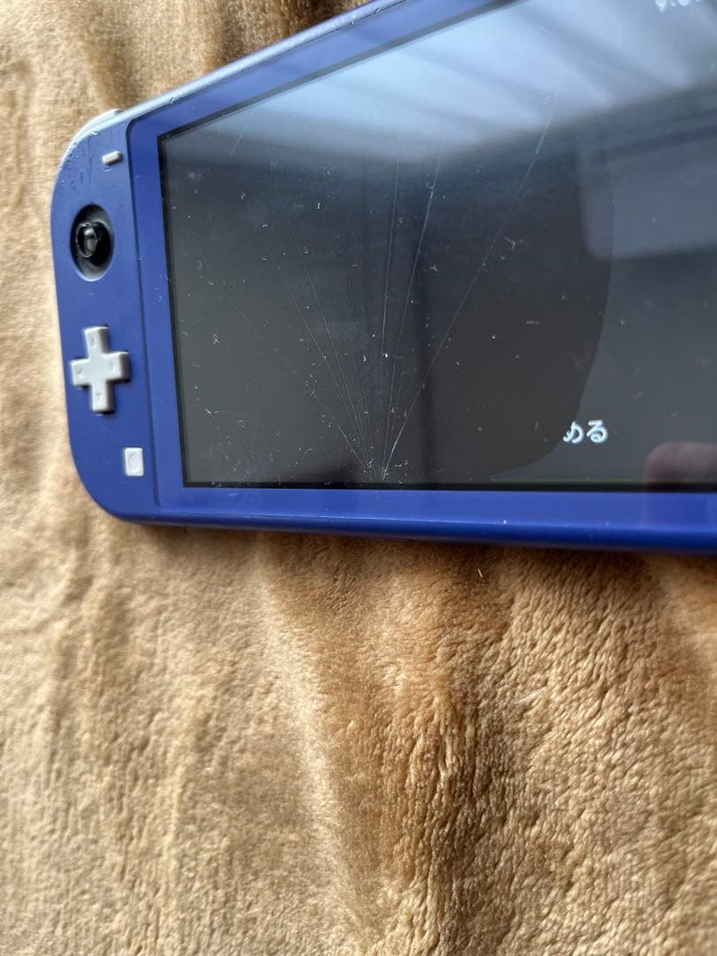 Switchライトブルー