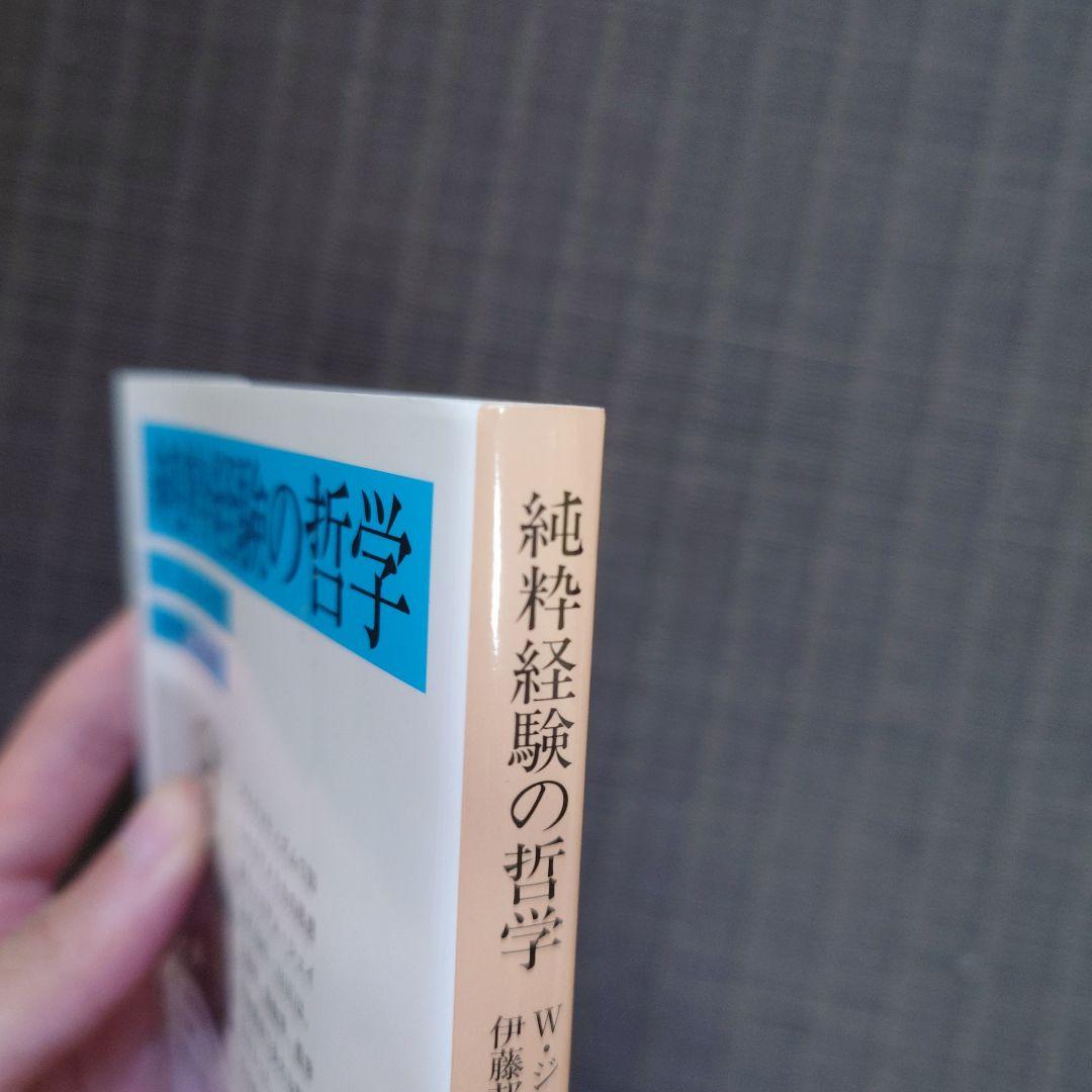純粋経験の哲学