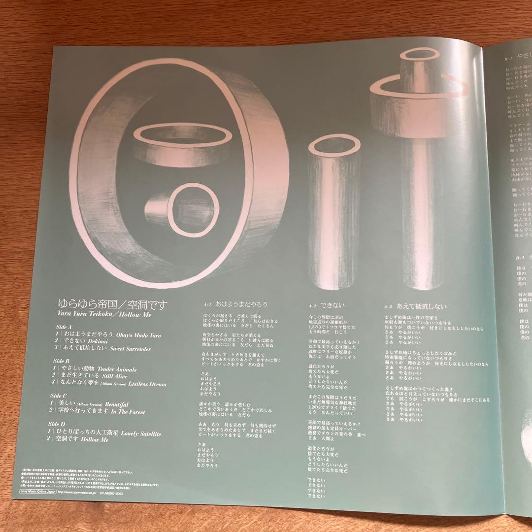 犬*神様 レコード　ゆらゆら帝国　空洞です　2枚組　LP 坂本慎太郎　レア