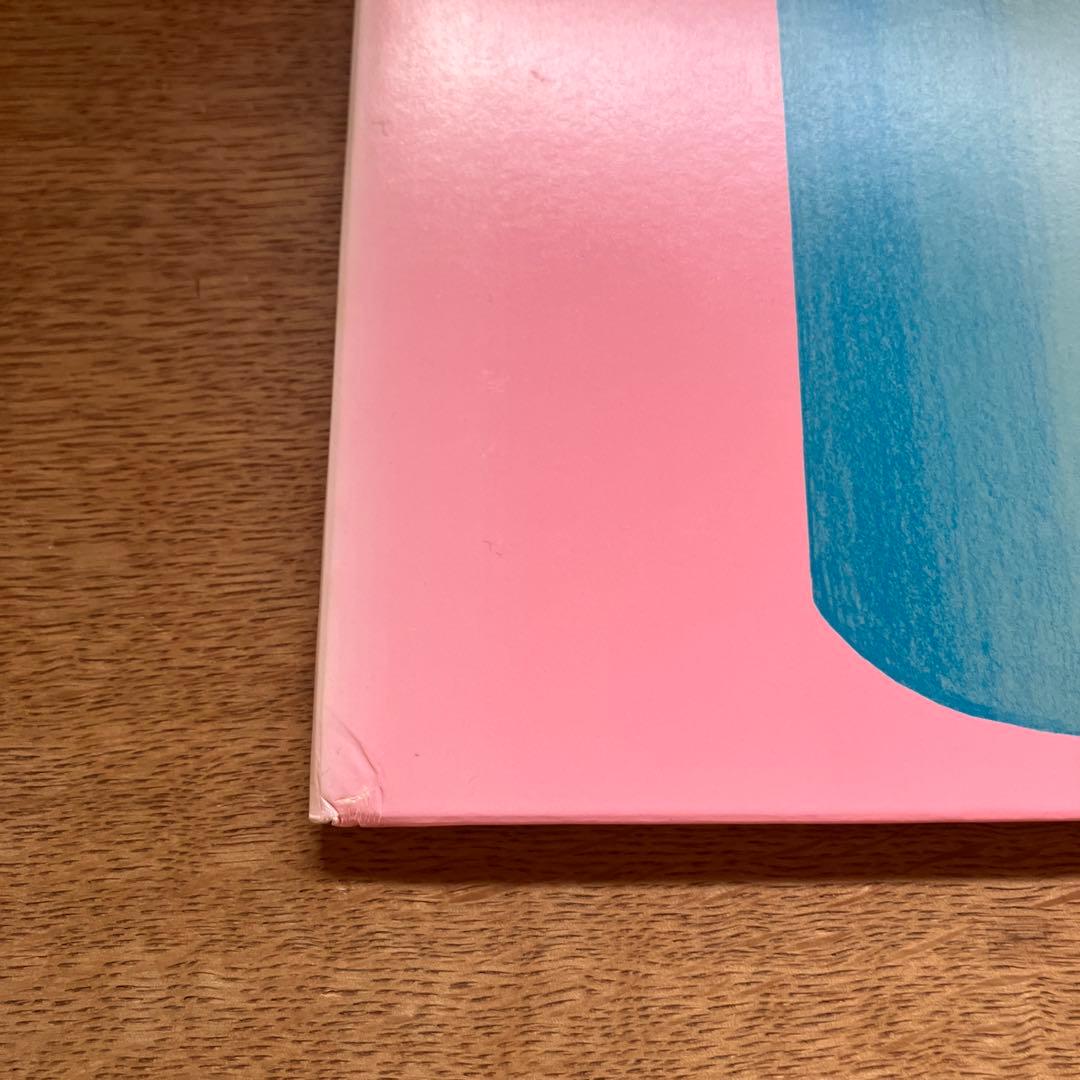 犬*神様 レコード　ゆらゆら帝国　空洞です　2枚組　LP 坂本慎太郎　レア