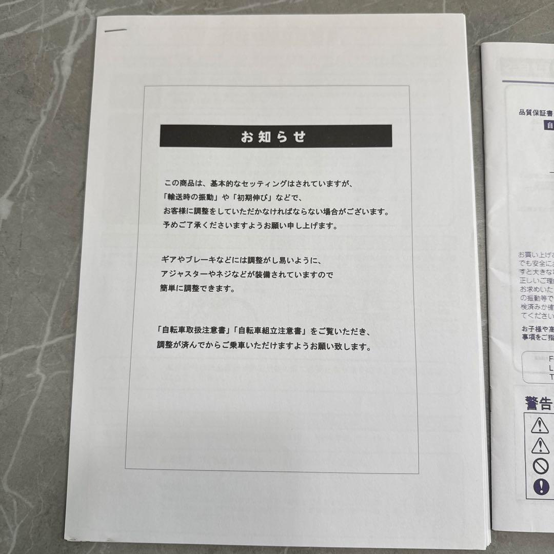 RENAULT LIGHT10 折り畳み自転車