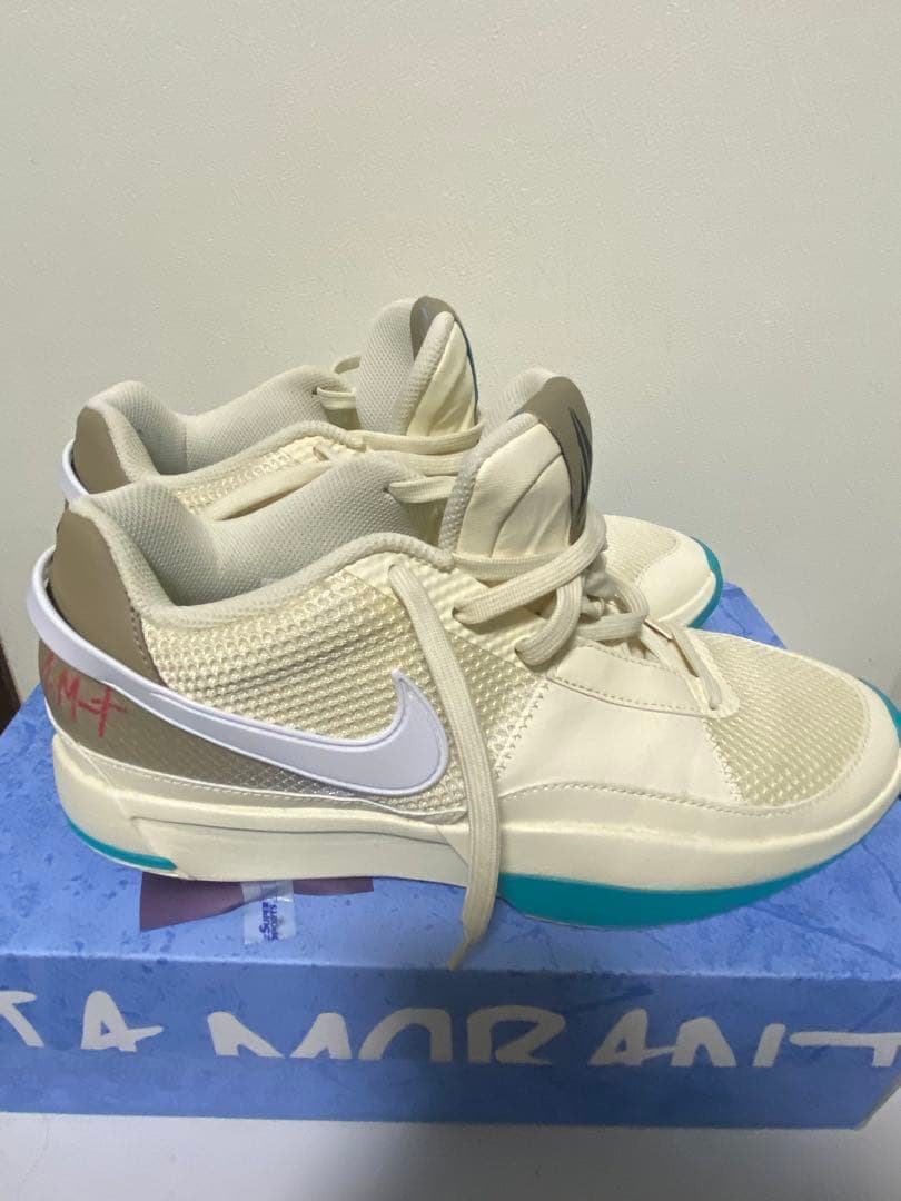 Nike バスケットボールシューズ サイズ12 ホワイト/ターコイズ ja1