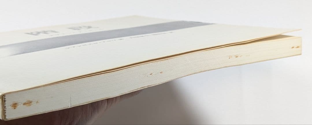 階段 デザインとディテール　ジアンピエロ・アロワ 著　内堀繁生／熊野保 訳