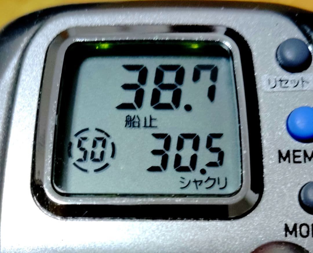 ダイワ 電動リール LEORITZ S400 美品です。