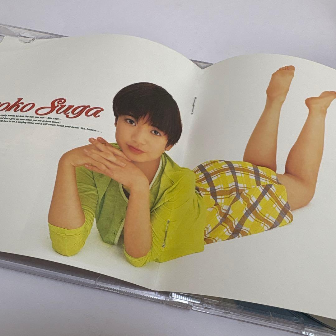 須賀響子/新しいような古いような