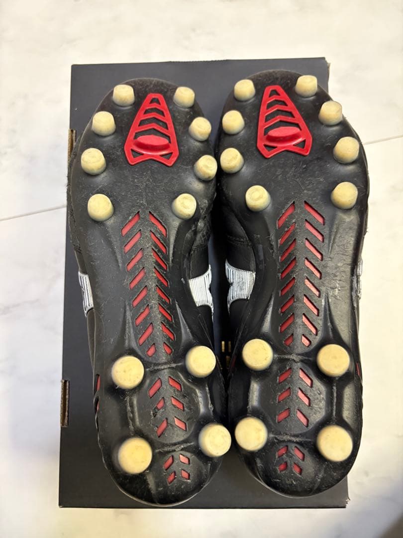 モレリア　NEO3 24.5