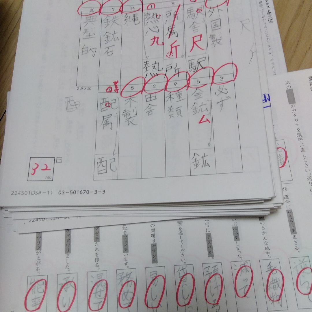 Sapix サピックス５年国語教材　2024