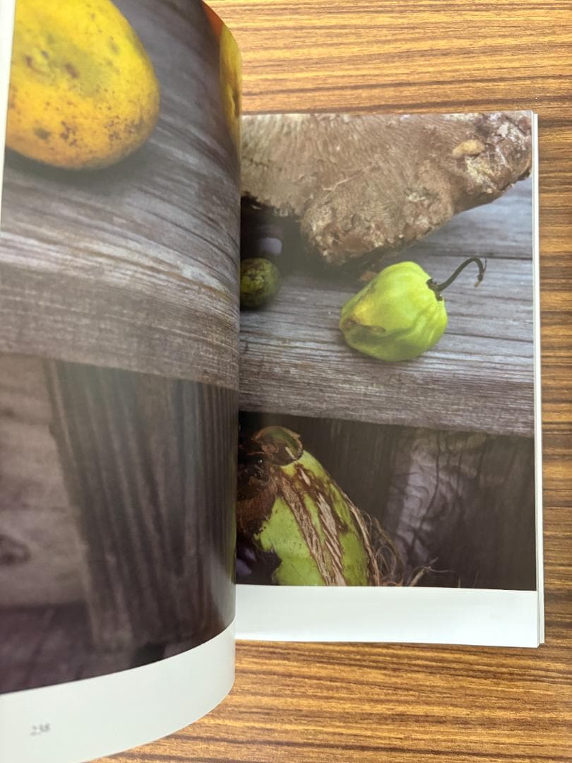 Wolfgang Tillmans 2017 作品集