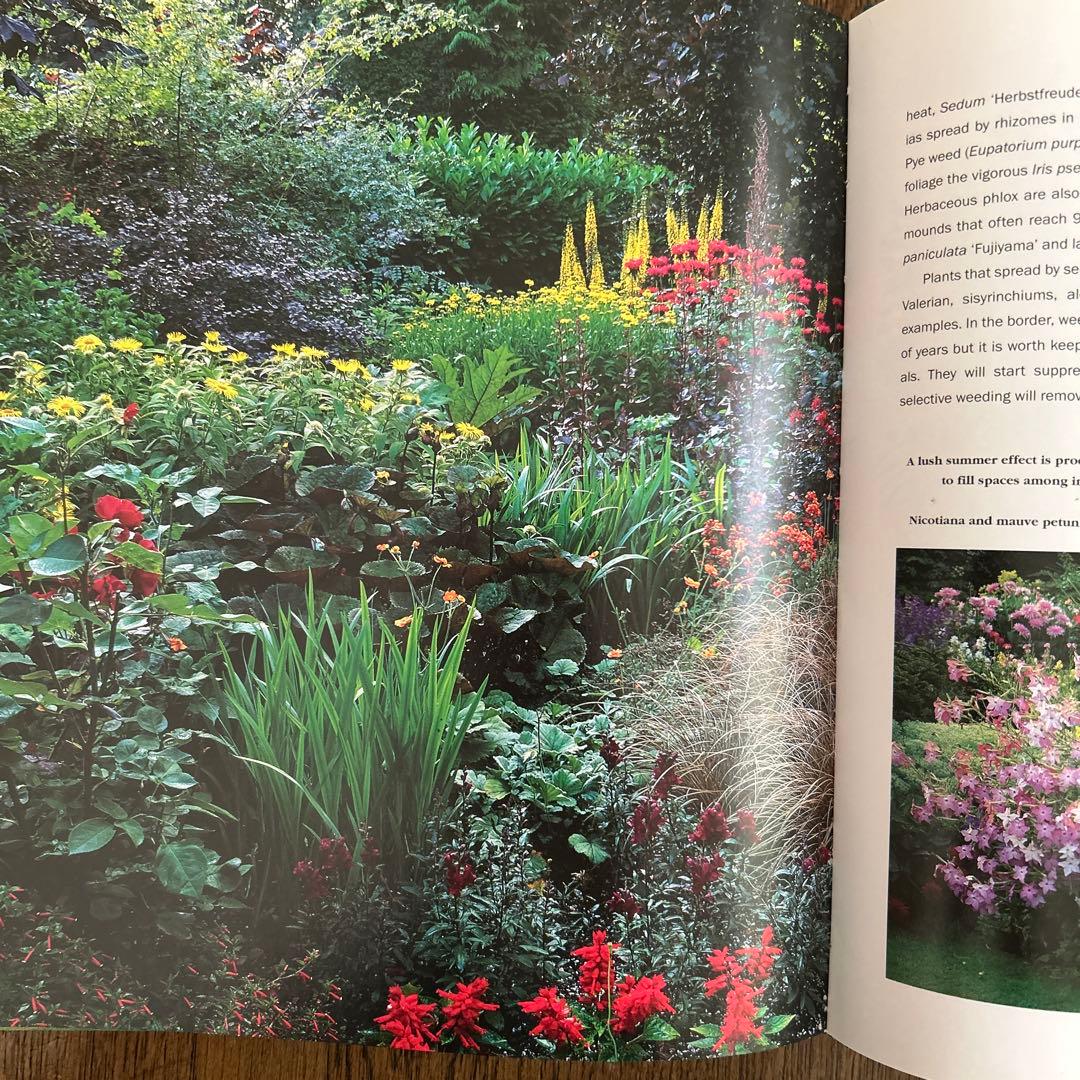 洋書　Planting Companions