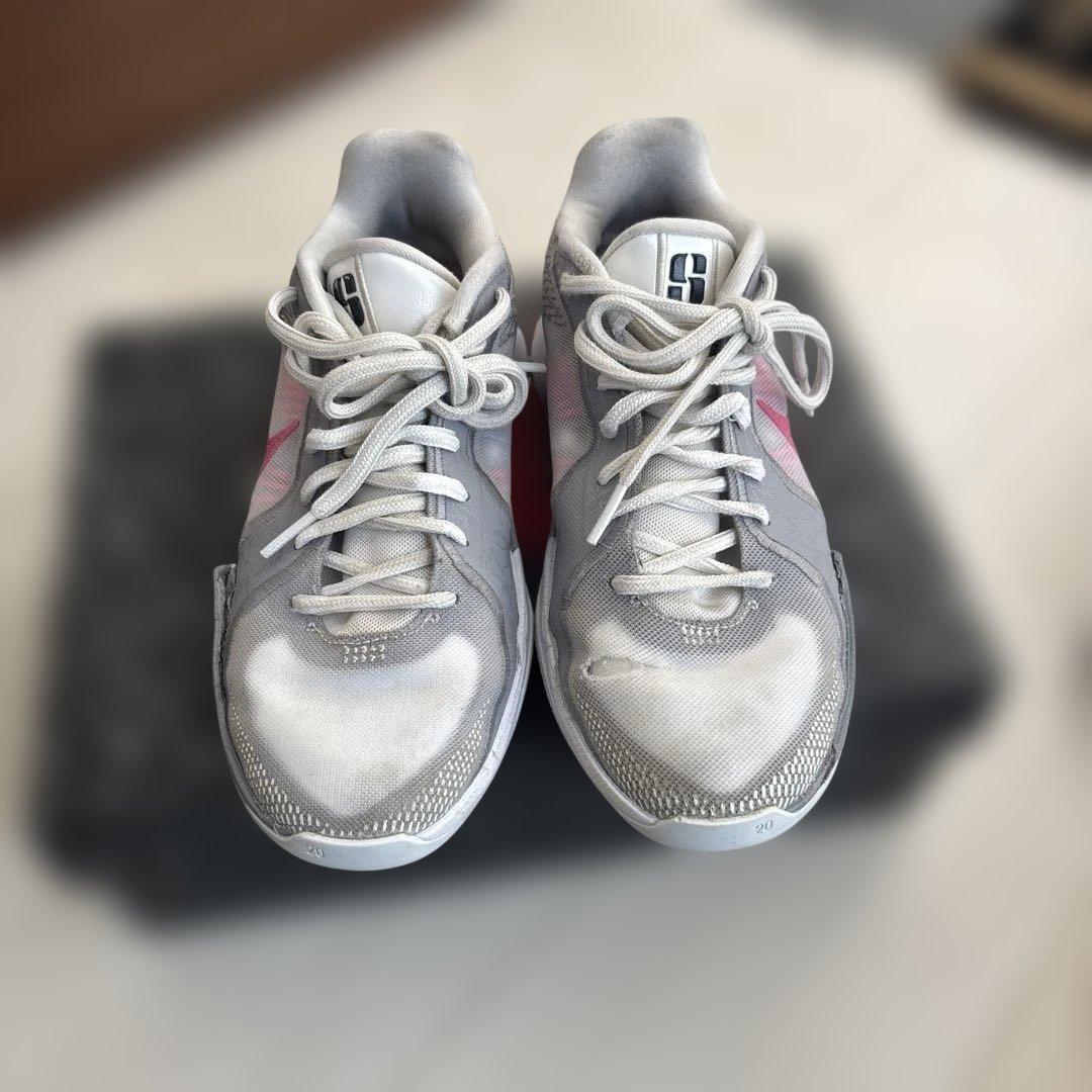 体育館シューズ　NIKE サブリナ