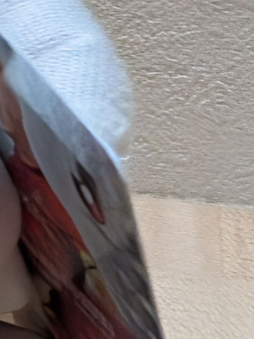 たっつん【鹿島アントラーズ】鈴木優磨　選手　topps 1/1