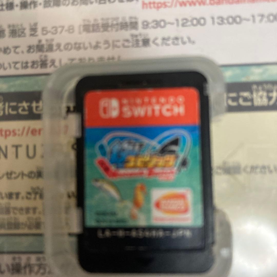 Nintendo Switch バージョン