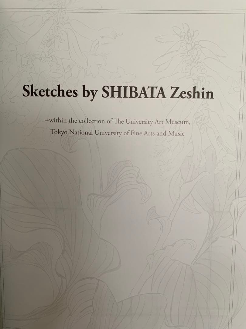 柴田是真 下絵・写生集 東京芸術大学大学美術館所蔵 二重箱で保管