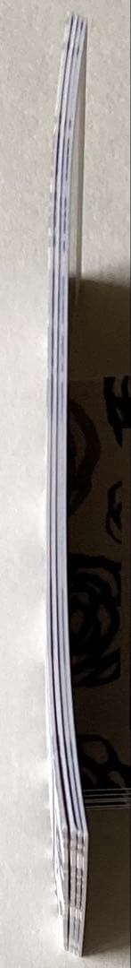 BIGBANG 2014 SEASON'S GREETING GD ジヨン ポラ