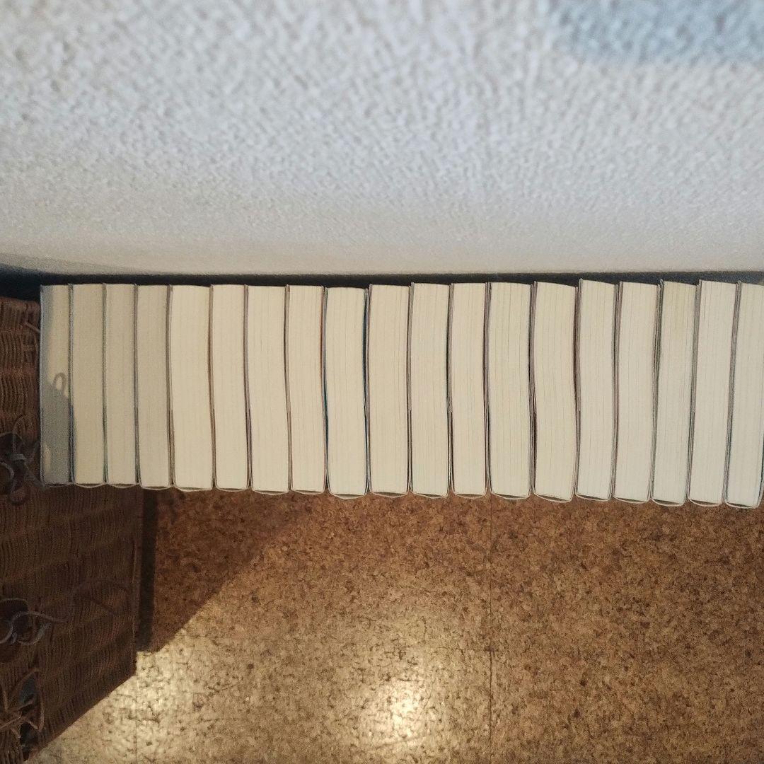 転生したらスライムだった件1〜19巻　小説　セット