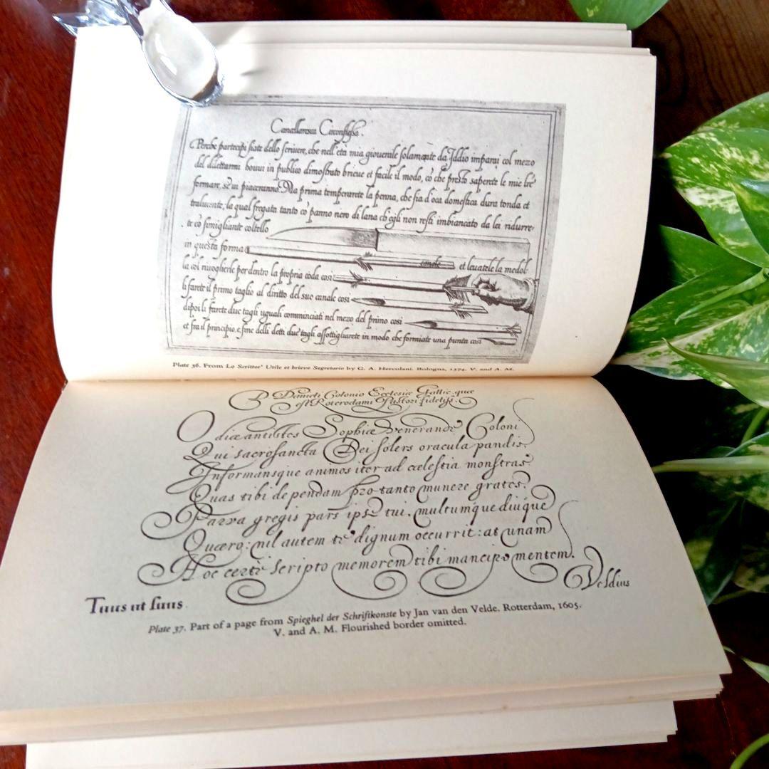 洋書古書1952年　ペンギン文庫　カリグラフィー美しい筆記体　ヴィンテージ　希少