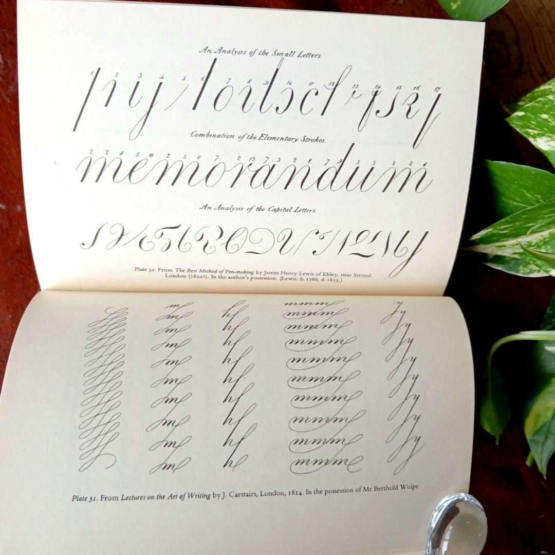 洋書古書1952年　ペンギン文庫　カリグラフィー美しい筆記体　ヴィンテージ　希少