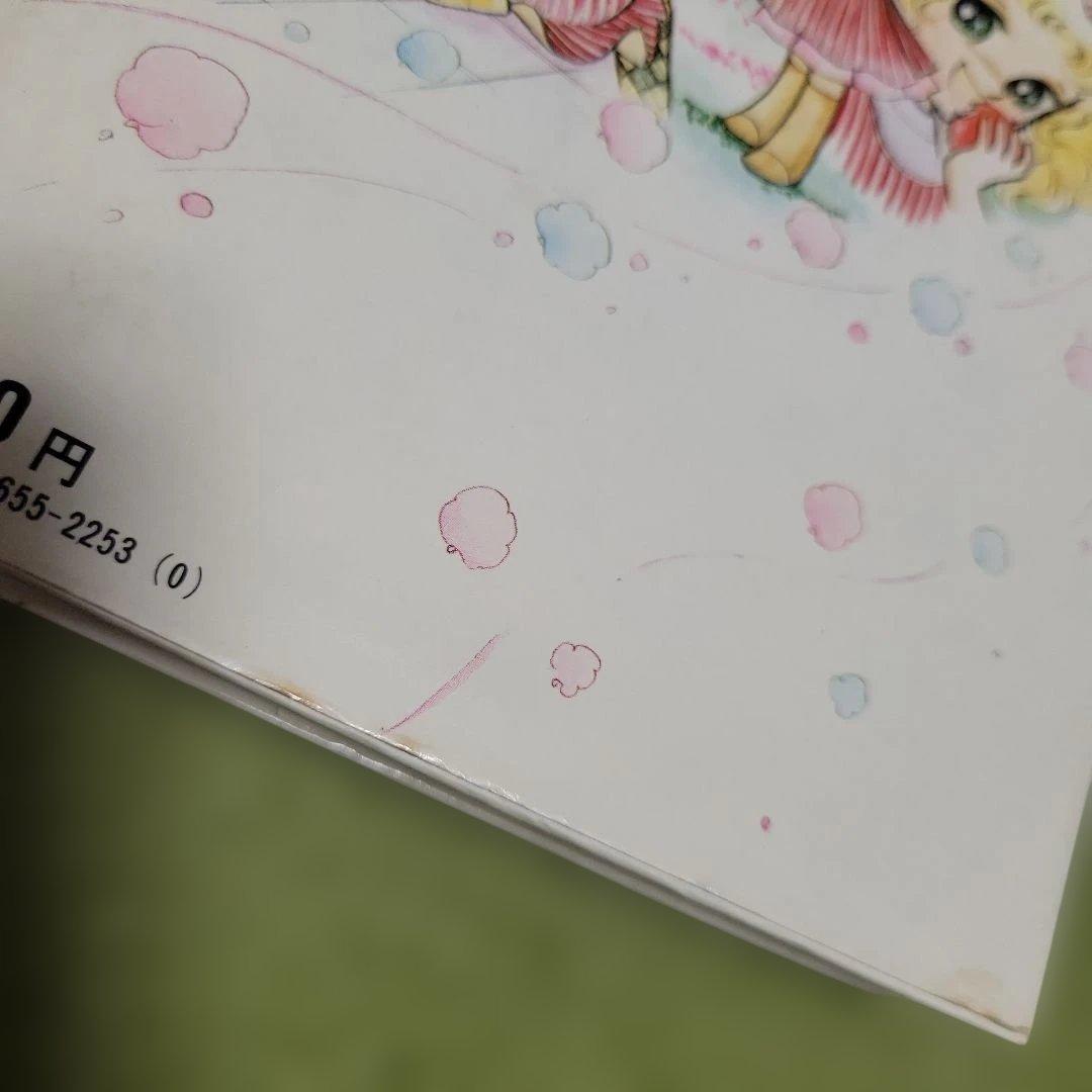 小説 キャンディ♡キャンディ