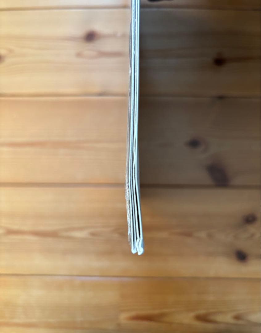 Clairo Sling レコード