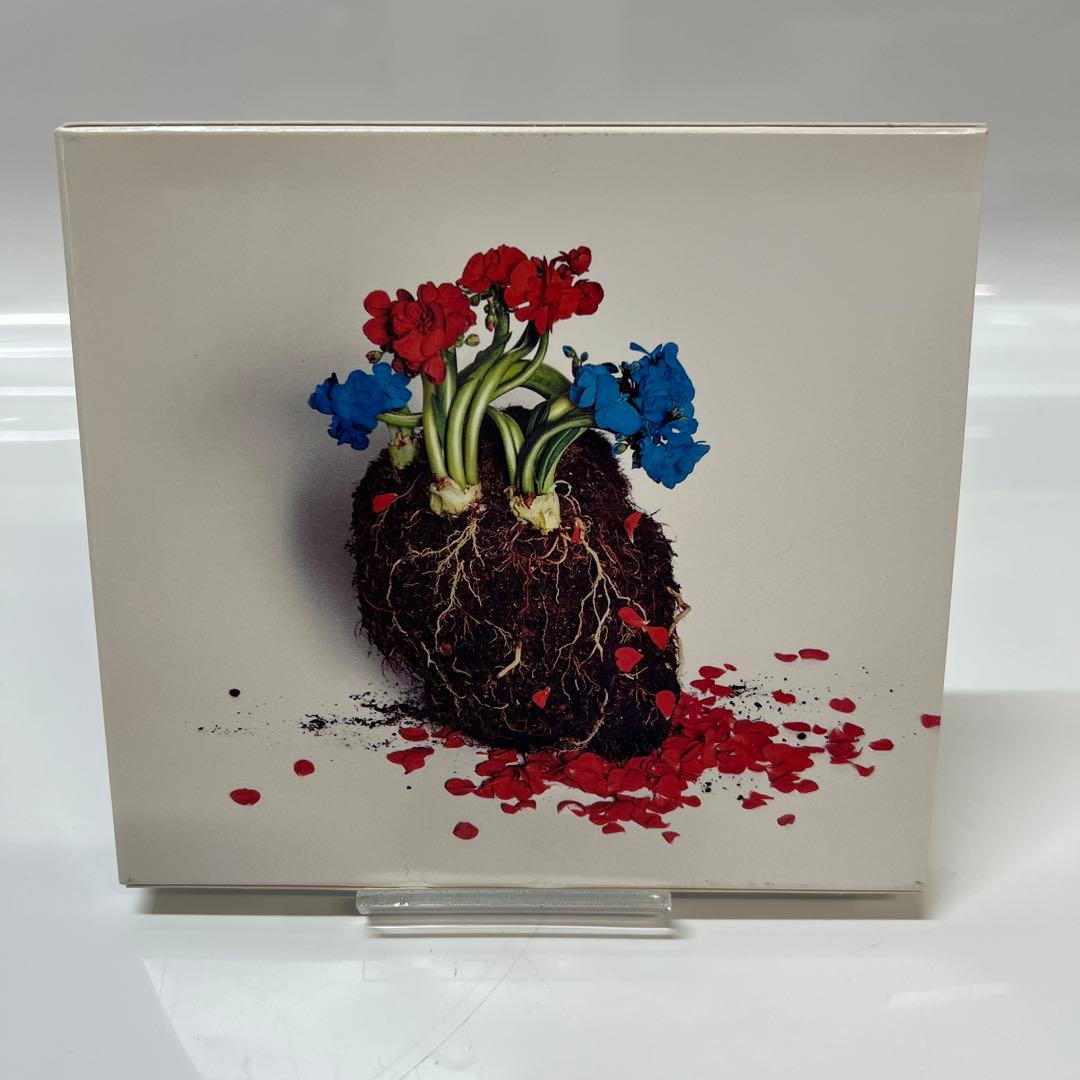 お値下げ中　星野源　初回限定盤CD+DVD含む　13枚セット