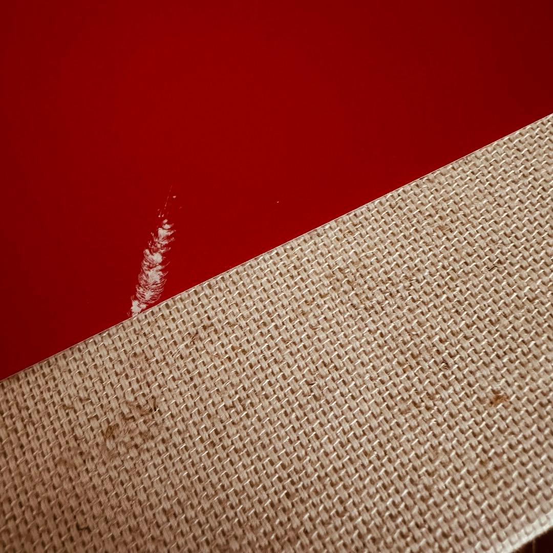 アート・デザイン・音楽 Mark Borthwick Abandom Reverie`