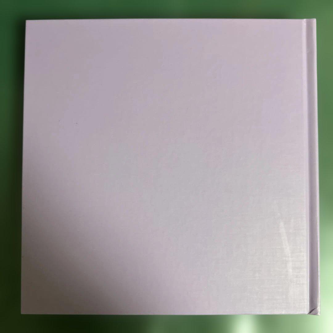 アート・デザイン・音楽 SheenaRingoBoOK