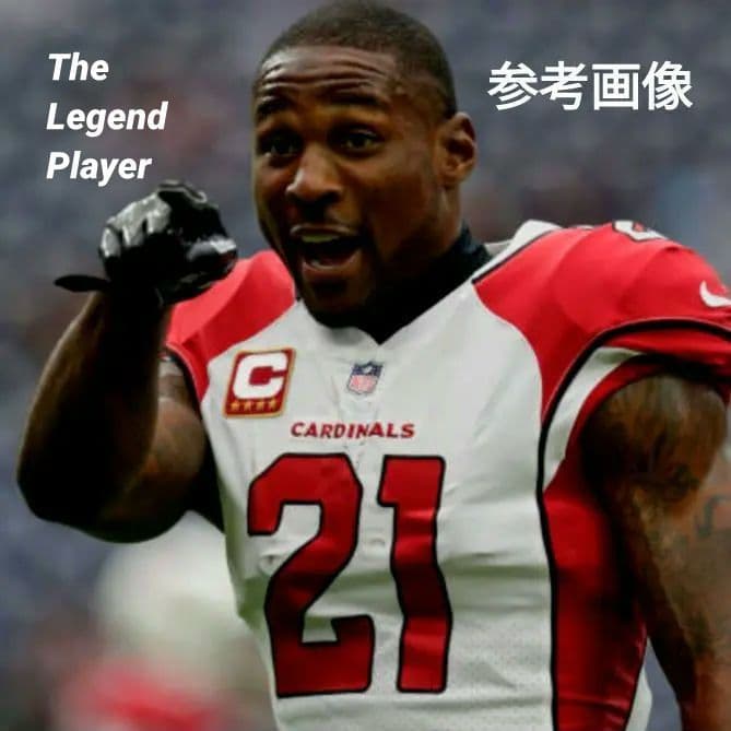 ■美品■刺繍■NFL■NIKE■ピーターソン■アメフト■ジャージ■カージナルス