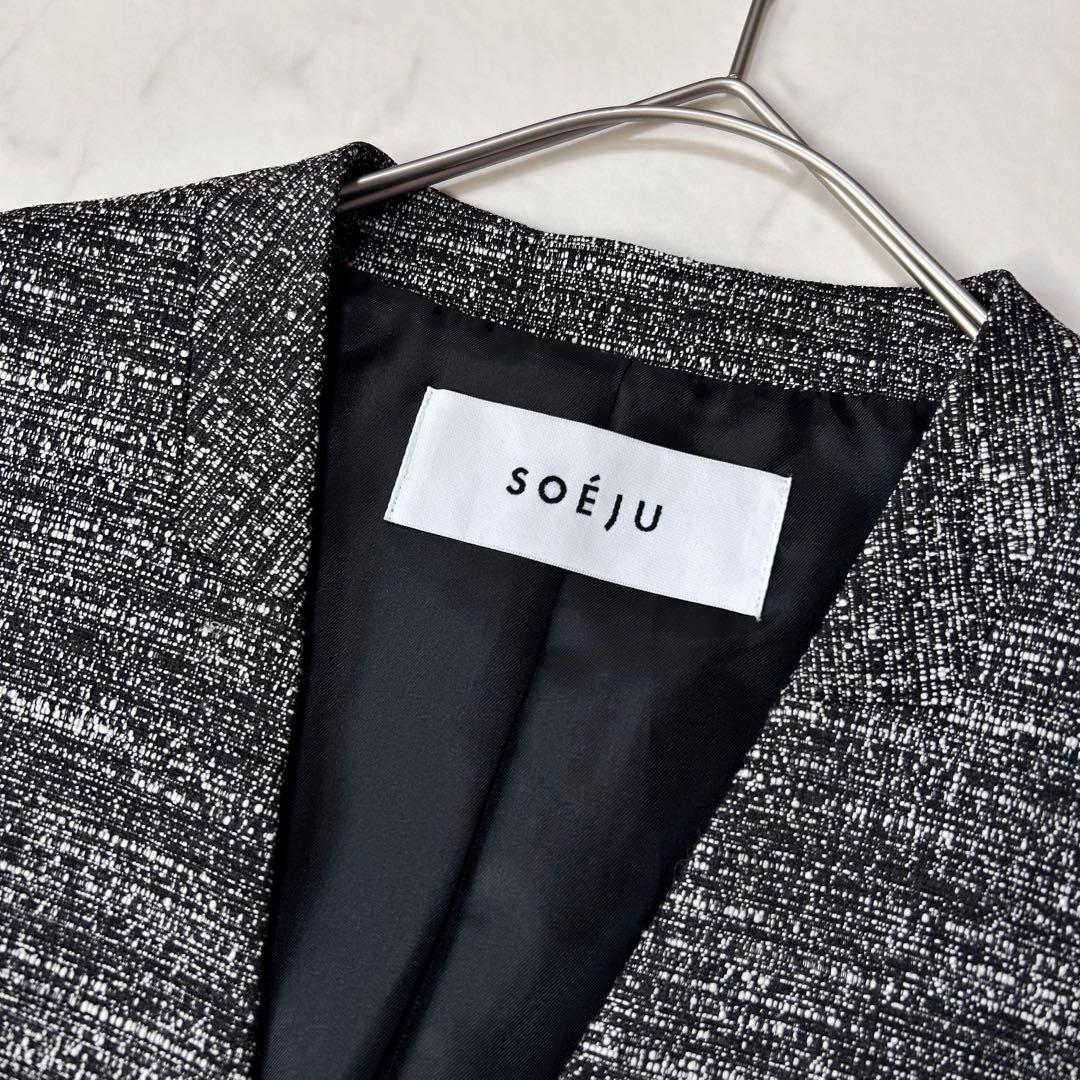 未使用級 ソージュ SOEJU ツィーディージャカードジレ ベストM ロング