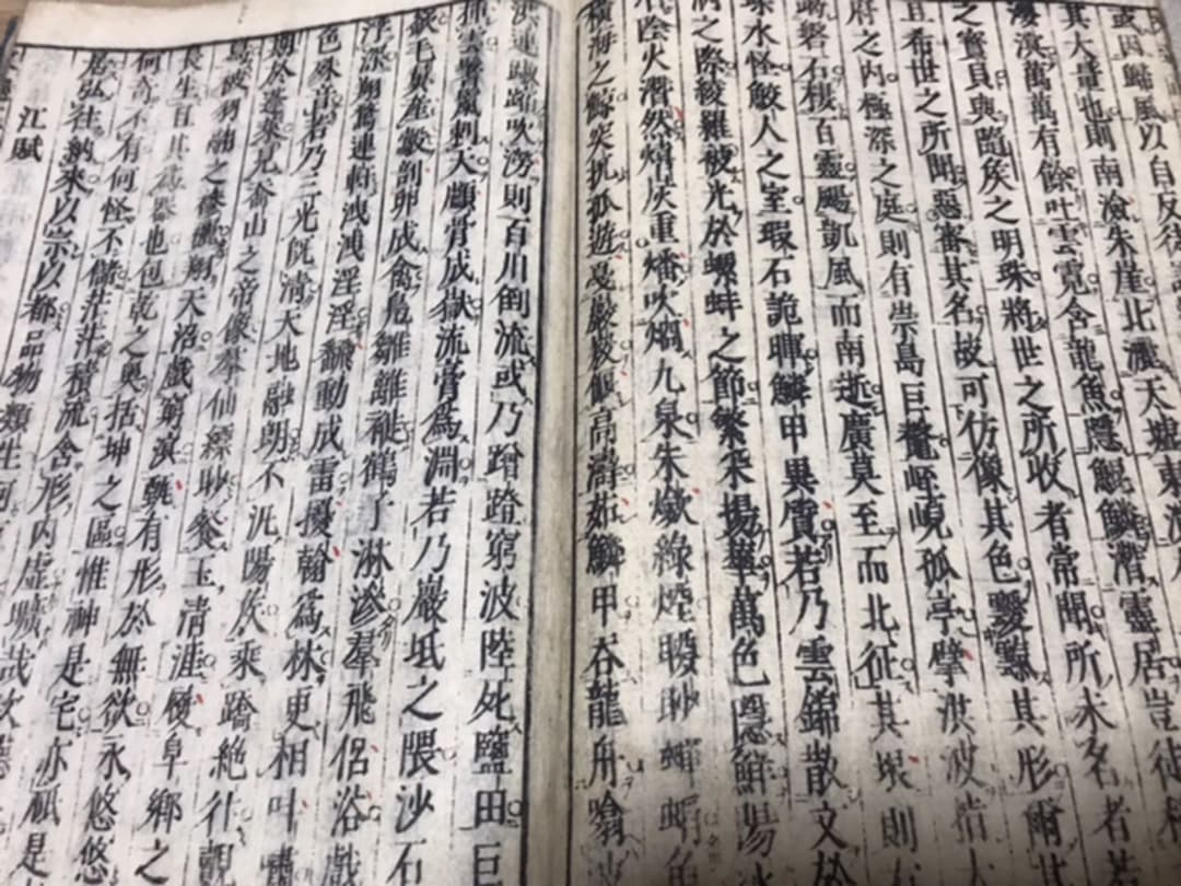 文選正文 13冊揃い 古い和本 文選