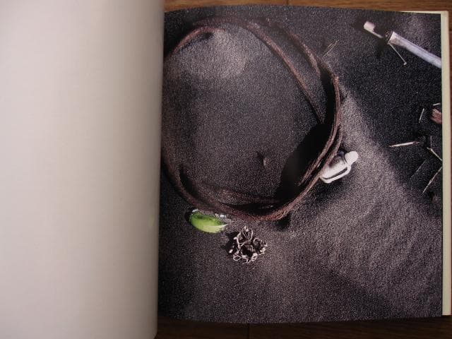 VISIONS of JAPAN TOMATSU Si　東松照明