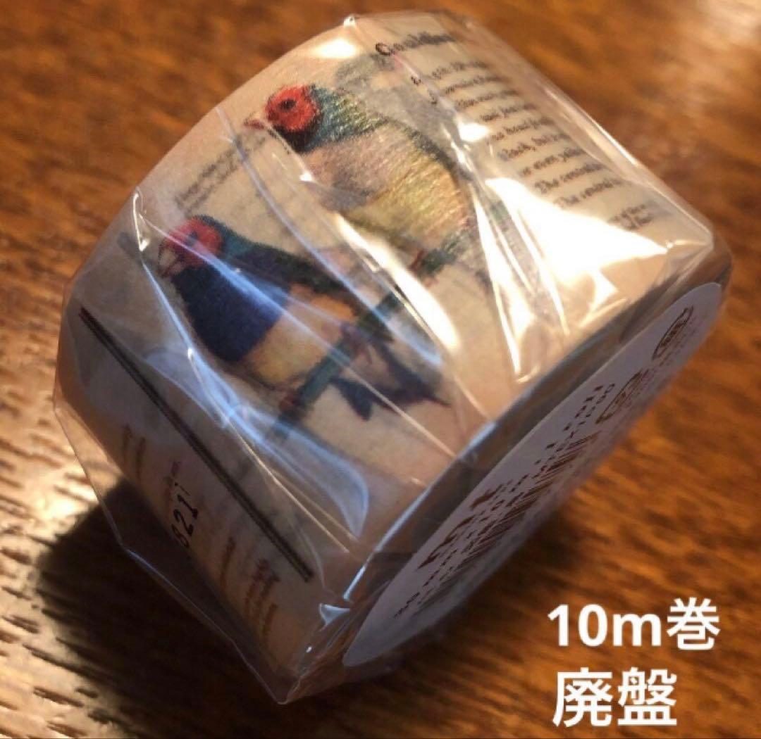 ●★Jazzy Cat.●mt ex太幅マスキングテープ7m巻2点セット他