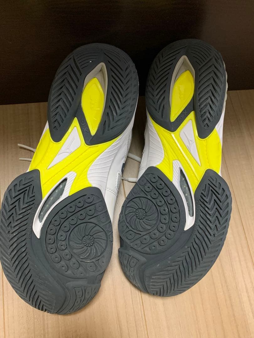 Mizuno Wave Drive 8 バドミントンシューズ　25.5cm
