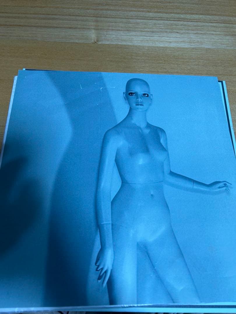 坂本慎太郎 幻とのつきあい方 LPレコード