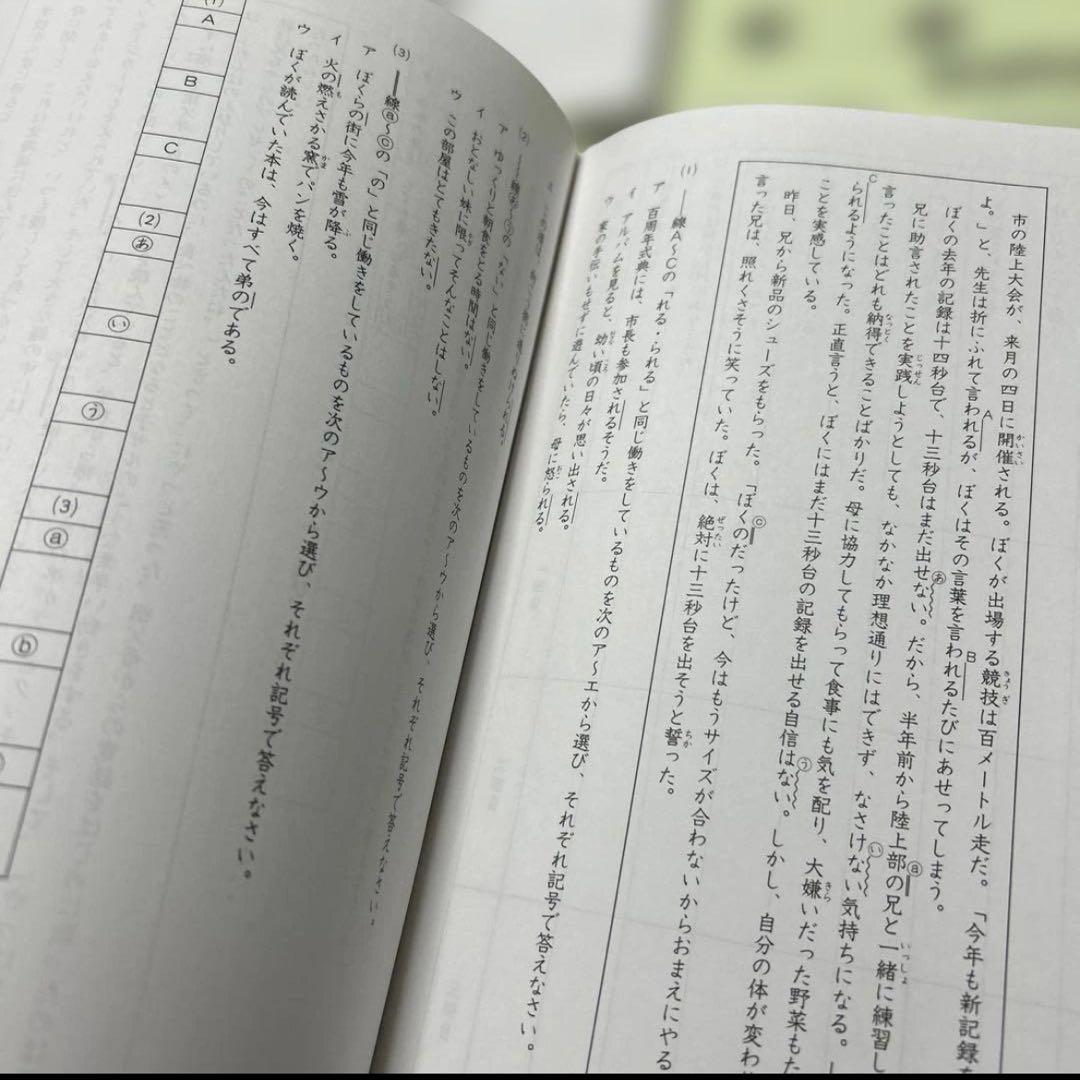 ㉔た　書き込み少なめ❣️サピックス　SAPIX 国語 Aテキスト　5年　基礎と実戦
