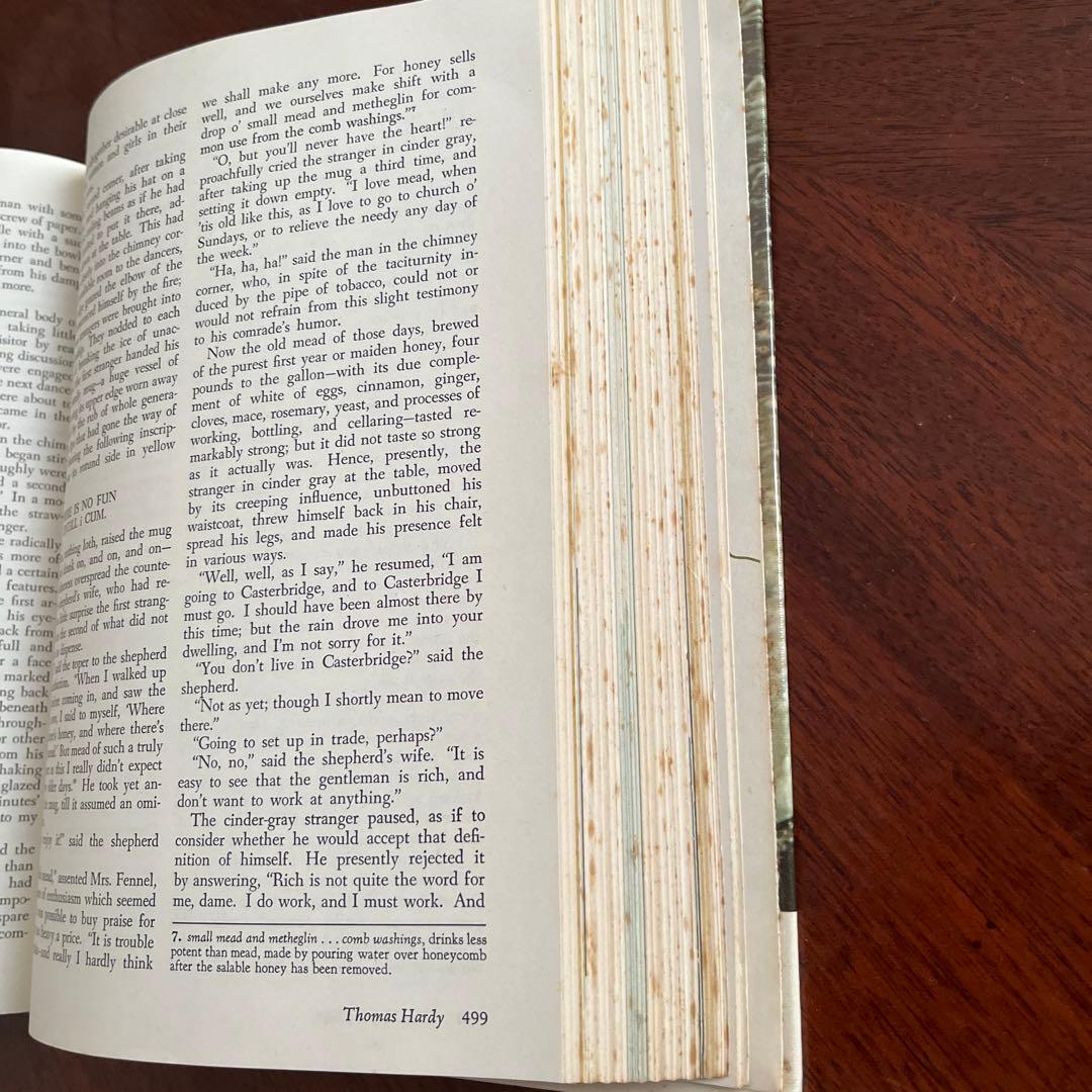 洋書 England in Literature